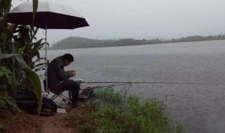 下雨天适合钓鱼吗 下雨了到底适不适合去钓鱼