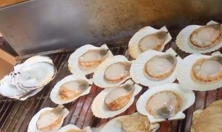 活扇贝放一夜怎么保存 活扇贝保存方法