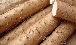 新鲜山药怎么保存 新鲜山药保存方法是什么