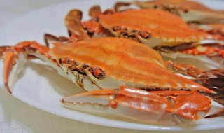 如何挑选梭子蟹 怎样挑选梭子蟹