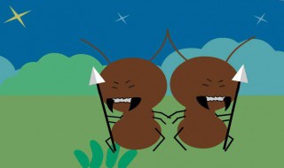 怎么除蚂蚁 除蚂蚁的方法介绍