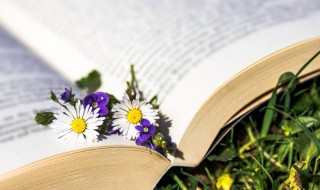 简短英文网名带翻译 简短的英文网名带翻译有什么