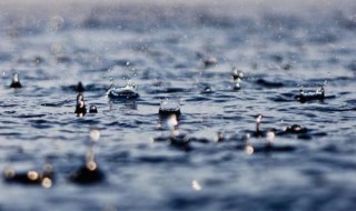 描写下雨的诗句子 描写下雨的诗句推荐