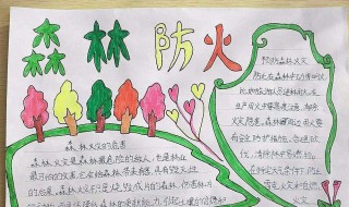 简单的森林防火手抄报 简单的森林防火手抄报内容