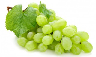 描述葡萄的句子 描写葡萄的优美句子