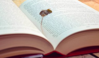 闭嘴说2是什么梗 闭嘴说2解释