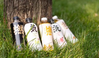 元気森林有几种产品 元気森林产品介绍