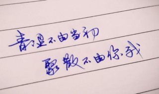 表白简短句子 表白的句子有哪些