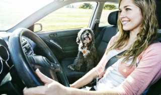 玻璃水使用方法 使用玻璃水的步骤