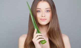 芦荟养殖方法 养殖芦荟的步骤