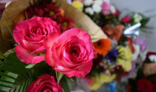 玫瑰花保鲜方法 玫瑰花如何保鲜