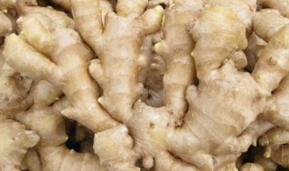 生姜减肥方法 生姜如何减肥