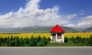 仲夏是指什么几月 仲夏简单介绍