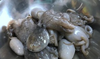 墨鱼清洗方法 墨鱼怎么清洗