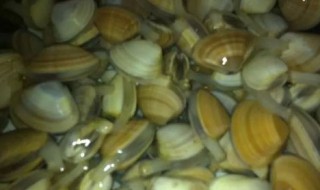 沙螺腌制方法 怎么腌制沙螺