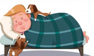 补觉最快方法 怎么补觉