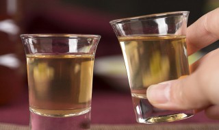 低度酒制作方法 如何泡制低度青梅酒