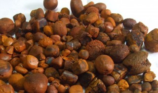 牛黄是什么的 关于牛黄的介绍