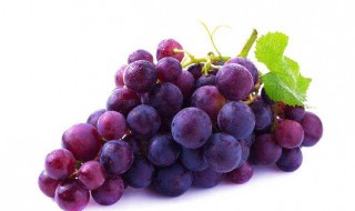 新鲜葡萄怎么保存 保存新鲜葡萄的方法