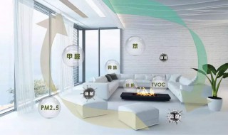 洋葱除甲醛的方法 除甲醛的方法介绍