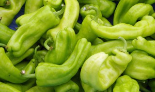 怎么保存辣椒 保管辣椒的窍门