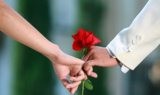 收到鲜花怎么保存 鲜花保鲜的方法