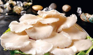 软炸青蘑怎么做 软炸青蘑怎样做