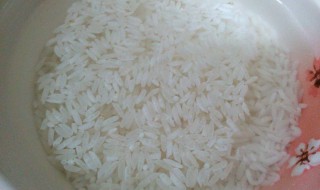 淘过的米怎么保存 淘过的米保存方法介绍