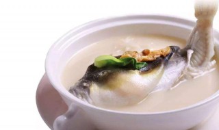 河豚鱼怎么做嫩 清蒸河豚鱼的做法