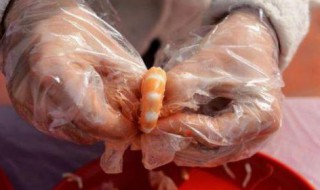 剥虾的方法 如何快速剥虾