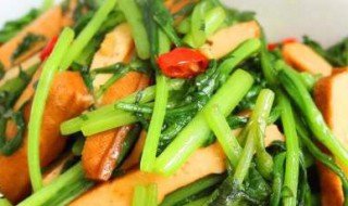 春菜炒姜怎么做 做春菜炒姜的窍门