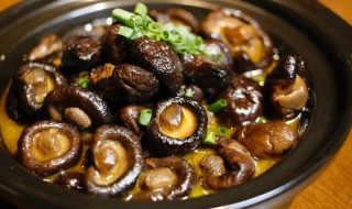 如何做茶油香菇 这样做的香菇最好吃