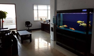 锦鲤缸适合养什么水草 锦鲤缸能养水草吗