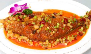 番茄蒸鱼如何做 番茄蒸鱼的做法