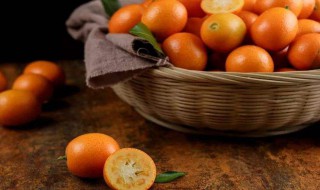 金桔汽水制作方法 金桔汽水做法