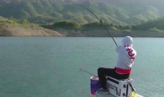 中秋钓黄尾技巧 中秋钓黄尾有哪些技巧