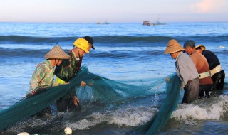 有哪些捉鱼的方法 捉鱼有什么方法