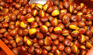 自己如何做甜栗子 甜栗子的做法