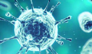 巨细胞病毒是什么 介绍巨细胞病毒