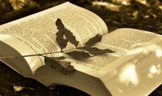 简单好记的美妆店名 简单好记有内涵的店名