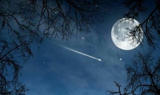 古朗月行白玉盘指什么 古朗月行原文欣赏