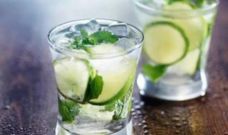 莫吉托怎么做 莫吉托的做法