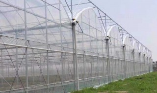 大棚的覆膜方法 大棚怎么覆膜