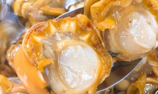 玉贝腌制方法 怎样腌制玉贝