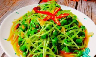 蒜炒豆苗怎么做 如何做蒜炒豆苗呢