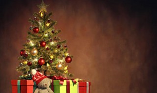 圣诞树代表什么含义 圣诞树有什么含义
