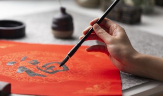 类拼音是什么 类怎么读