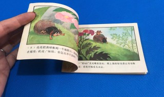 圣甲虫内容概括 圣甲虫主要内容概括