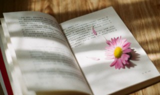 满载而归是什么意思 满载而归的释义