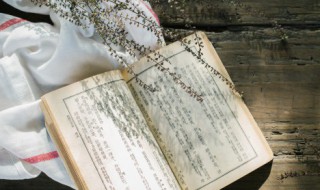 娴静的意思是什么 娴静的意思